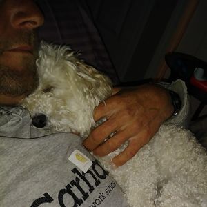 Meet your Posher, Laurie